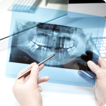 full_arch_galeria_04